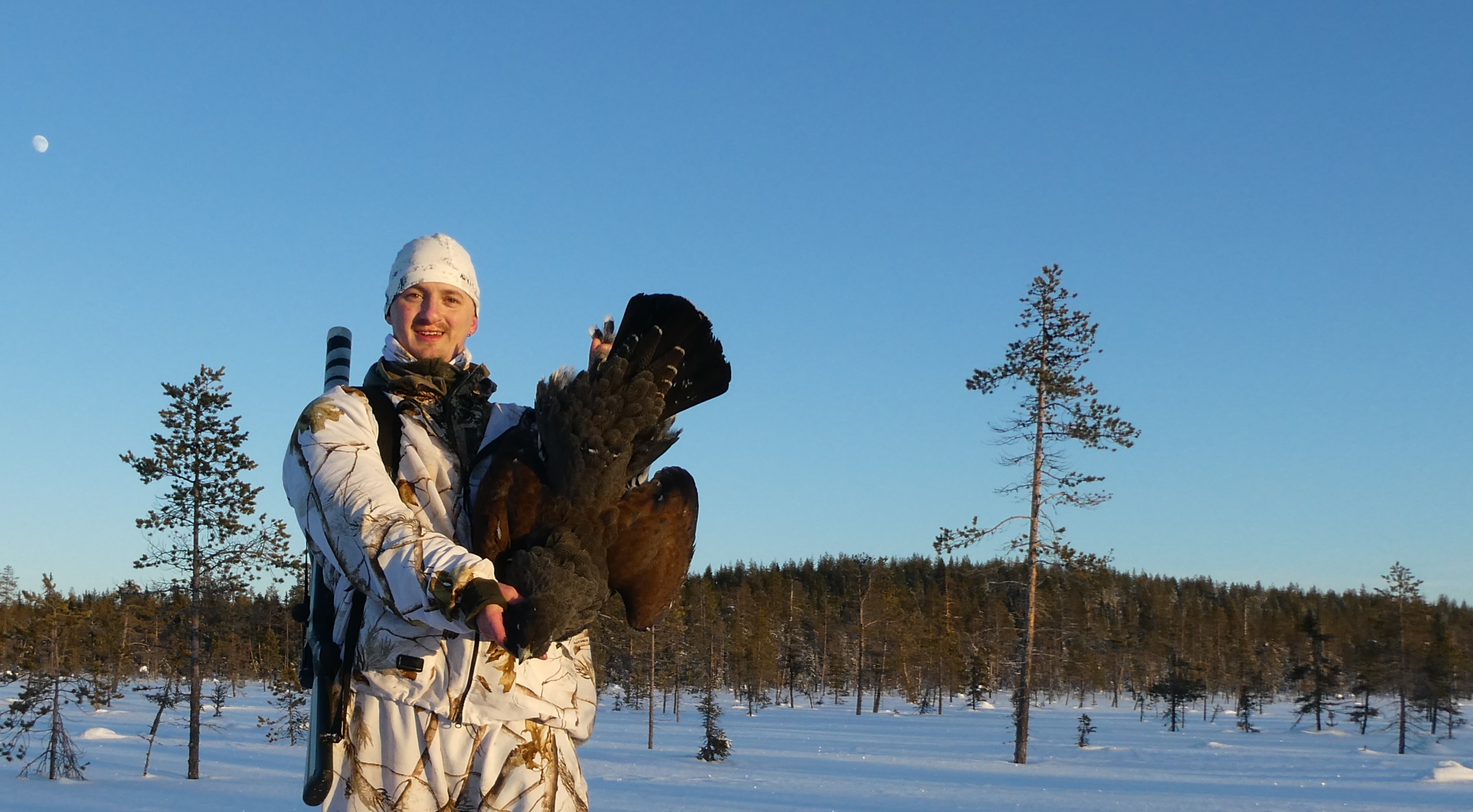 Toppjakt, Lapland, 2023.